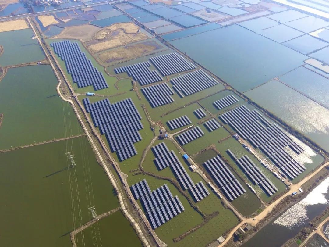 A Fishery-solar Masterpiece in the Watery Town - www@biyi.combiyi.com's 110 MW PV Project in Tongling, Anhui Province Successfully Connected to the Grid for Power Generation