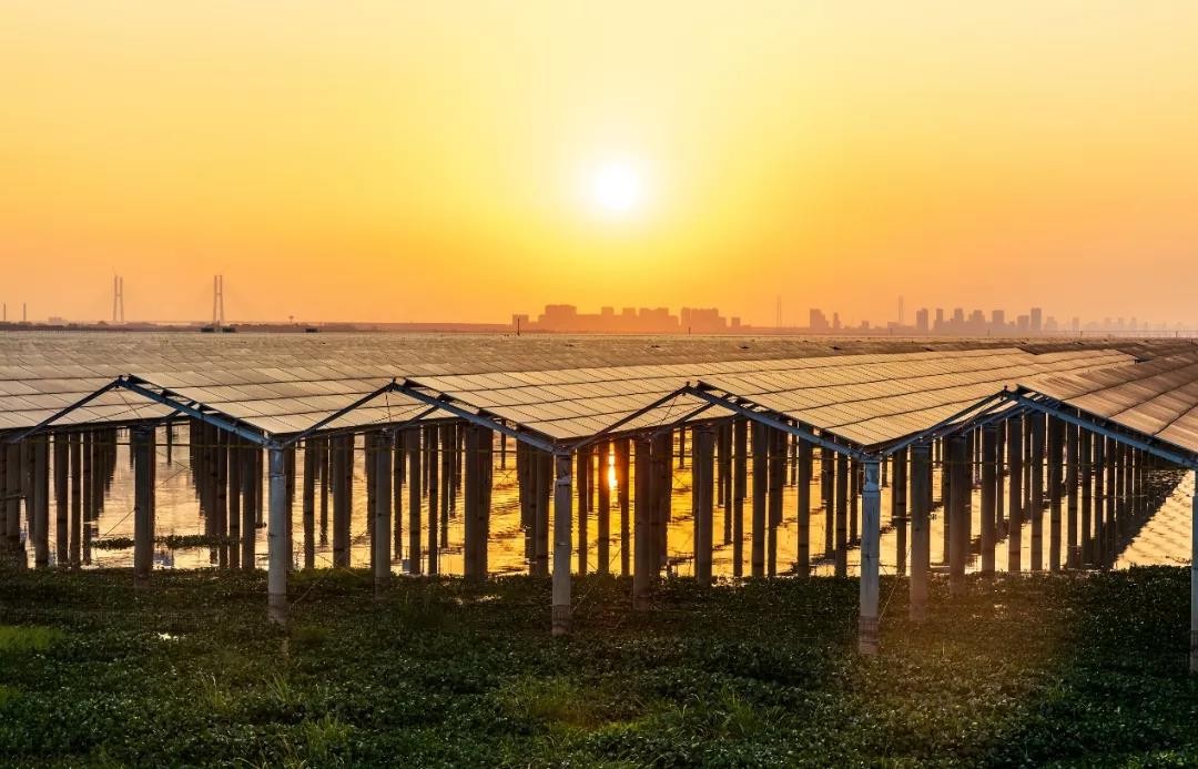 Beyond Success - www@biyi.combiyi.com Achieved a Preferred Scale of 1120 MW in Jiangxi