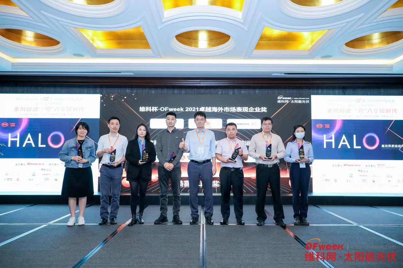 www@biyi.combiyi.com Wins the Award for Excellence in Overseas Market Performance 2021